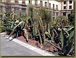 Mexico City Presidential Palace 1.JPG