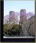 Mexico City near Antropology Museum  1.JPG