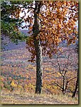 Lake Minnewaska 7.JPG