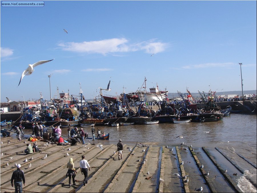 Essaouira 091.jpg