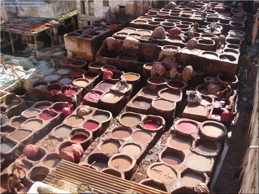 Fez tannery .jpg