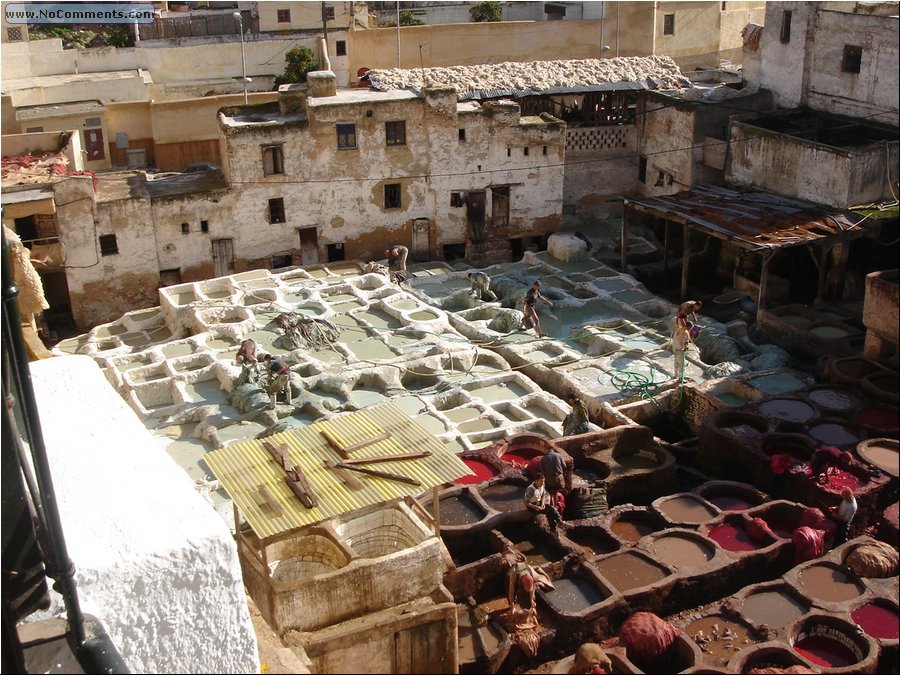 Fez tannery 030.jpg