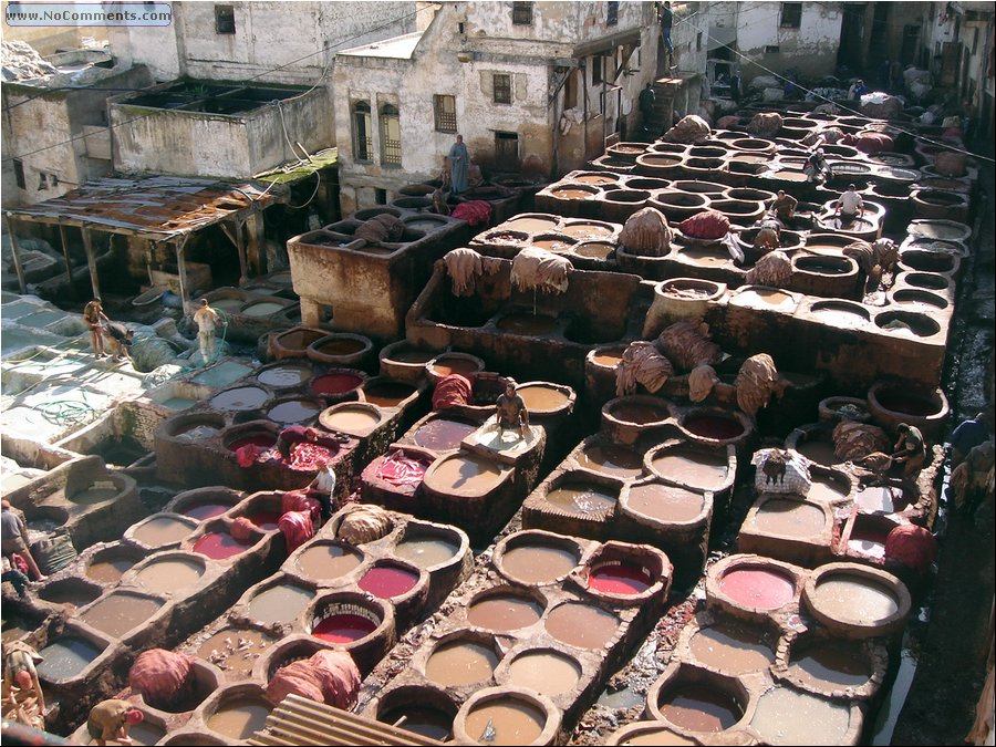 Fez tannery 031.jpg