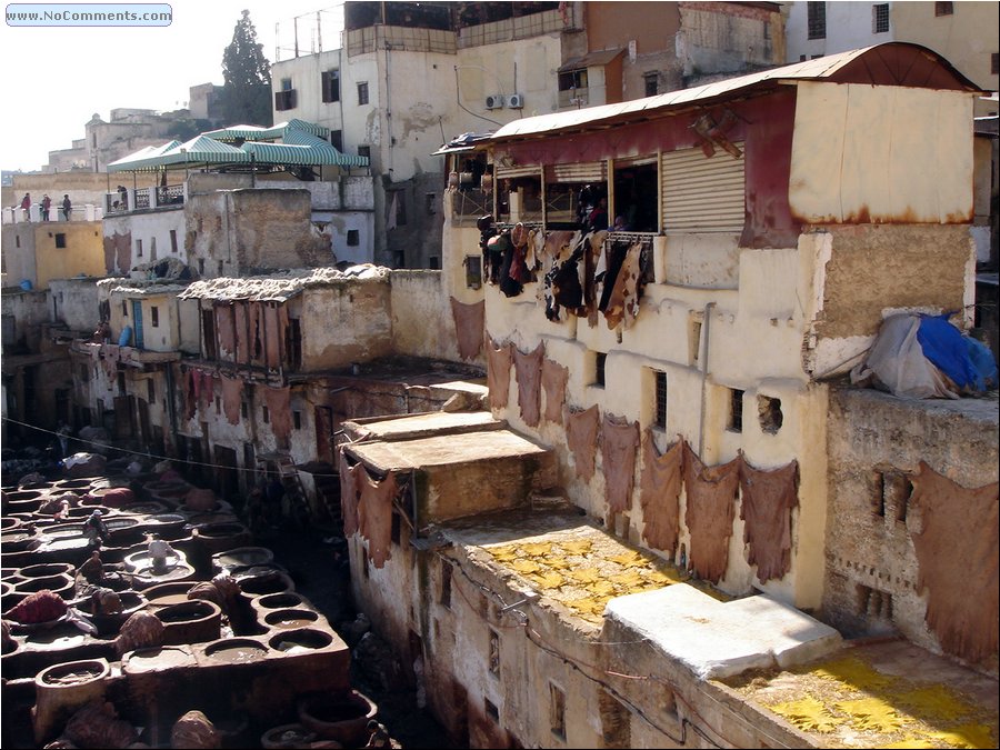 Fez tannery 032.jpg