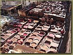 Fez tannery .jpg