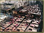 Fez tannery 031.jpg