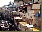 Fez tannery 032.jpg