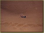 Sahara Desert rolling down the sand dune.jpg