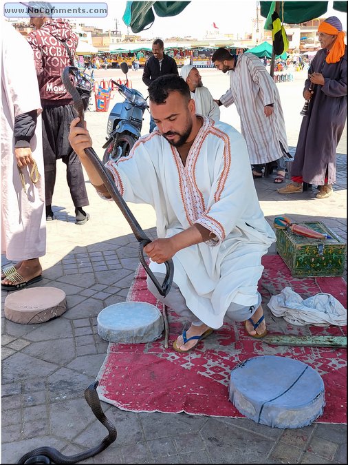 Marrakesh27.jpg