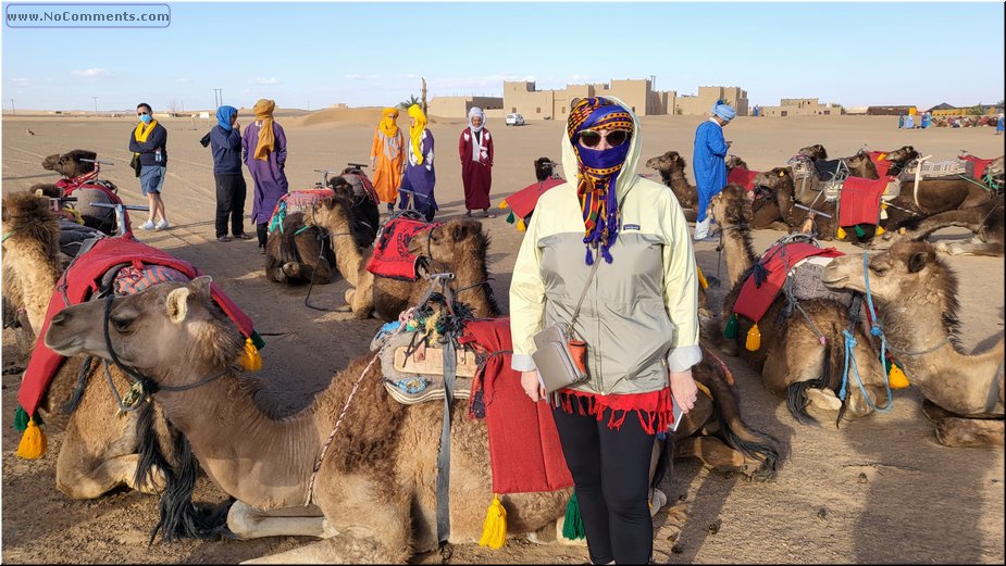 Sahara10.jpg