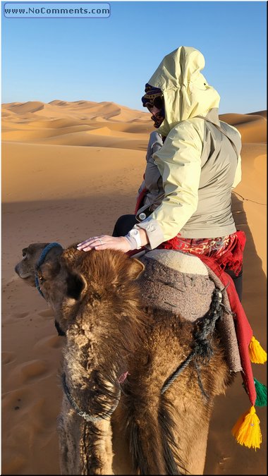 Sahara14.jpg
