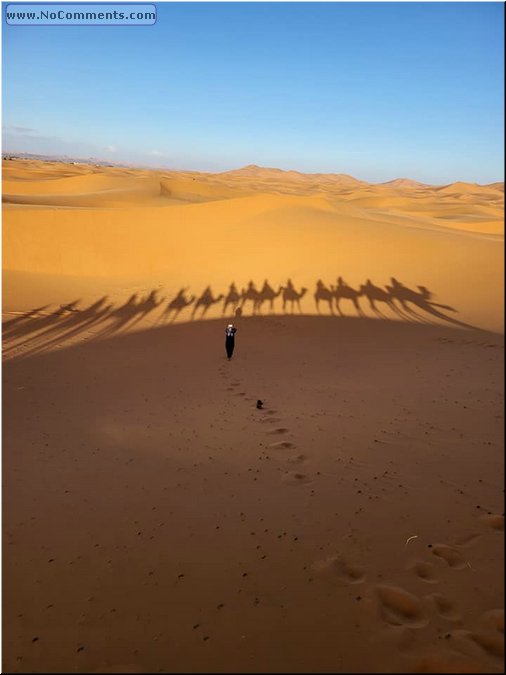 Sahara2.jpg