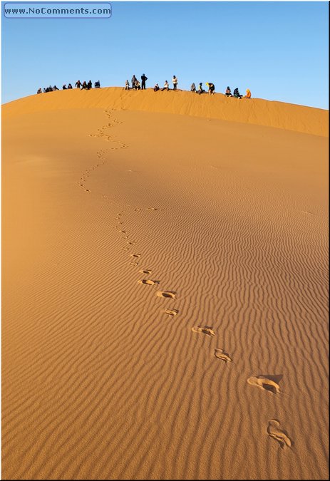 Sahara21.jpg