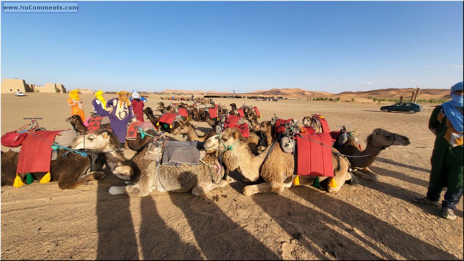 Sahara9.jpg