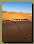 Sahara2.jpg