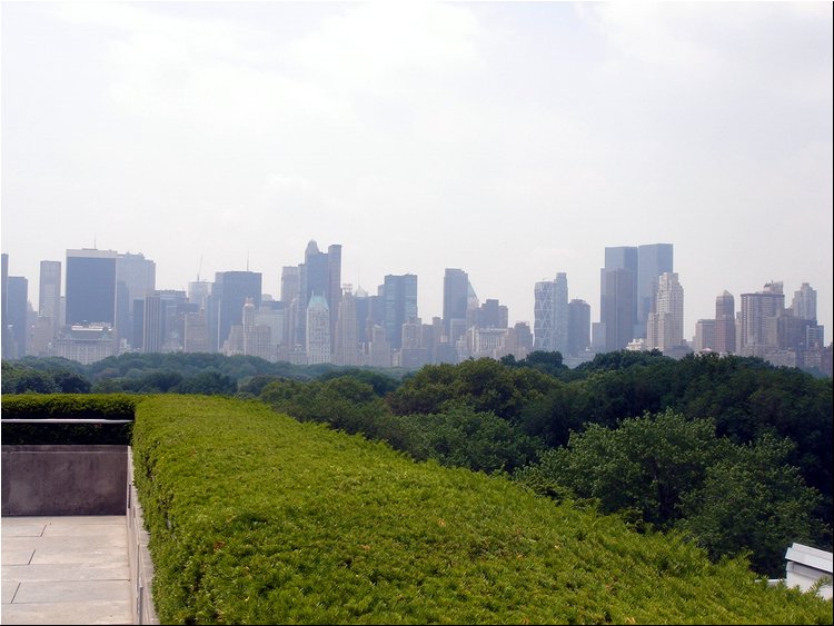 Metropolitan Museum - roof.JPG