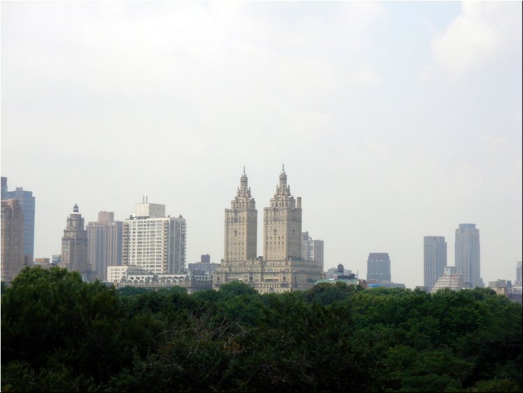 Metropolitan Museum - roof1.JPG