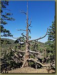 20170910_100340.jpg