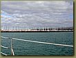 Auckland harbor 1.JPG