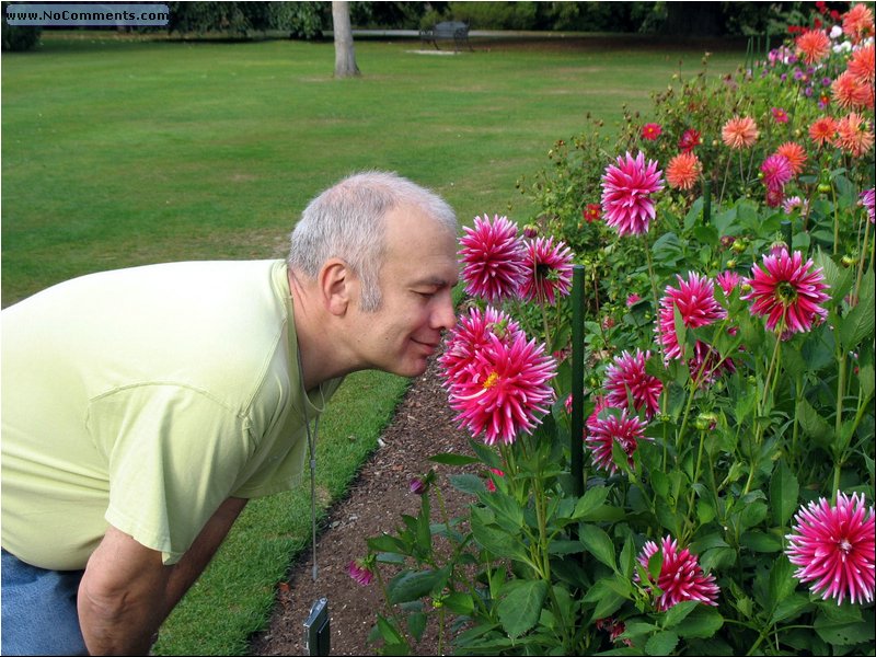 Christchurch Botanical Garden 5.jpg