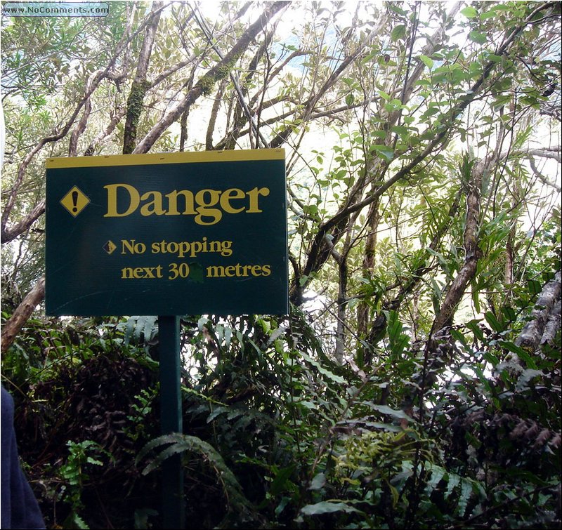 Climbing Fox Glacier 1.JPG