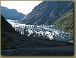 Climbing Fox Glacier 2.jpg