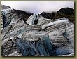 Climbing Fox Glacier 4.JPG