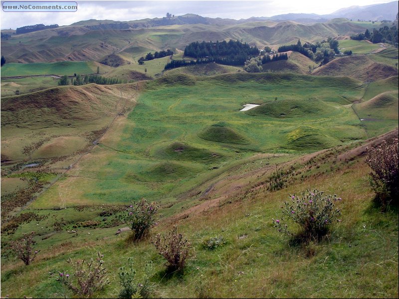 Horseback Riding - lanscape.JPG