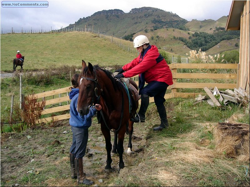 Horseback Riding 1.JPG