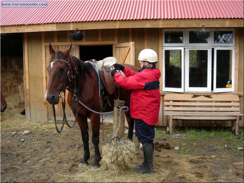 Horseback Riding.JPG