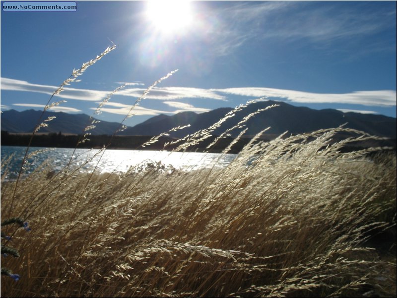 Lake Tekapo 5.jpg