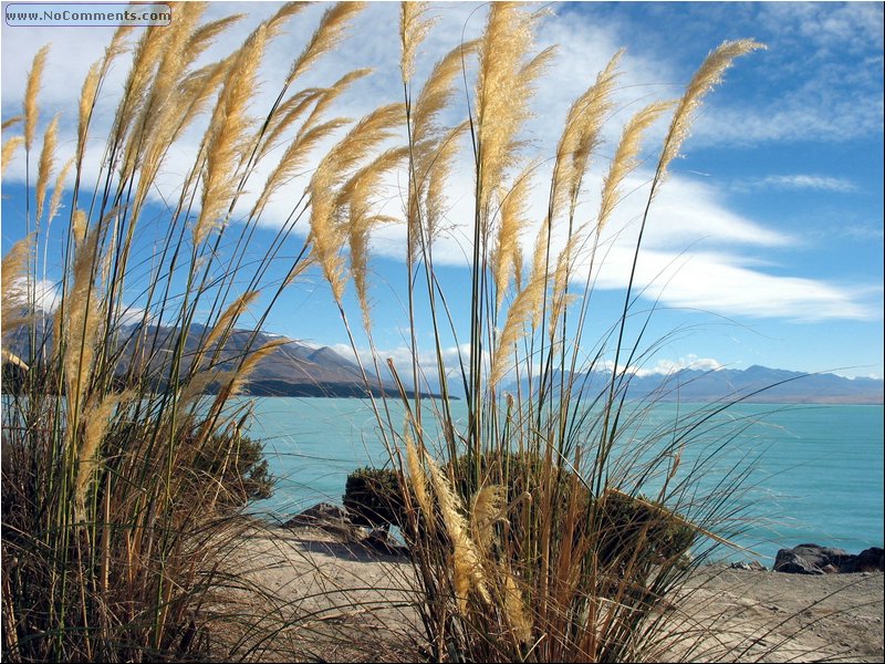 Lake Tekapo 6.jpg