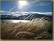Lake Tekapo 5.jpg