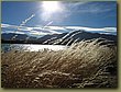 Lake Tekapo 5.jpg