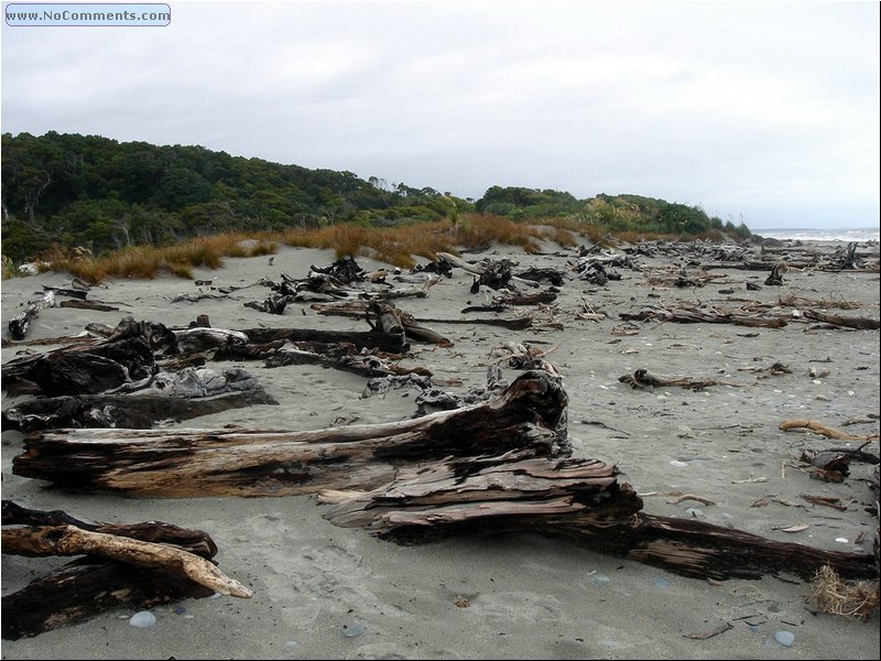 Beach South Island 1.JPG