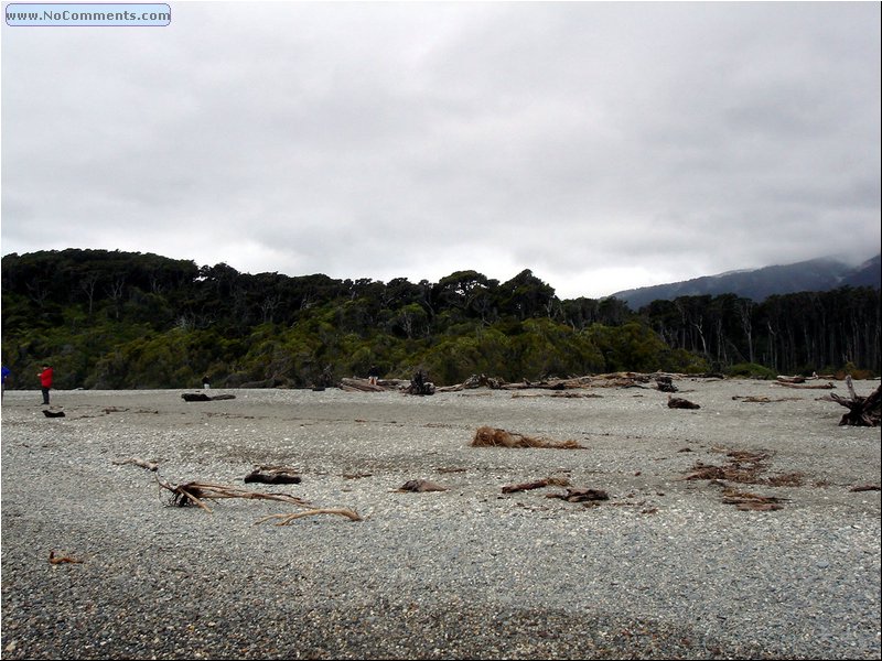 Beach South Island 3.JPG