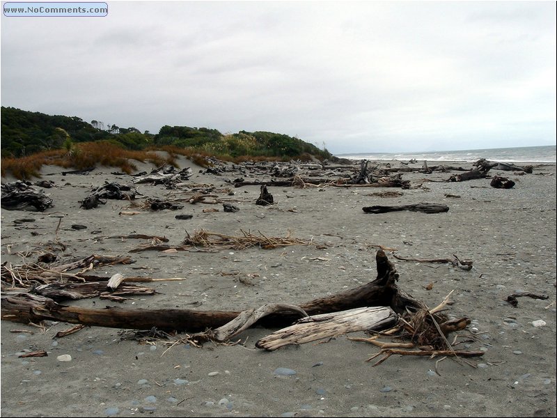 Beach South Island 4.JPG