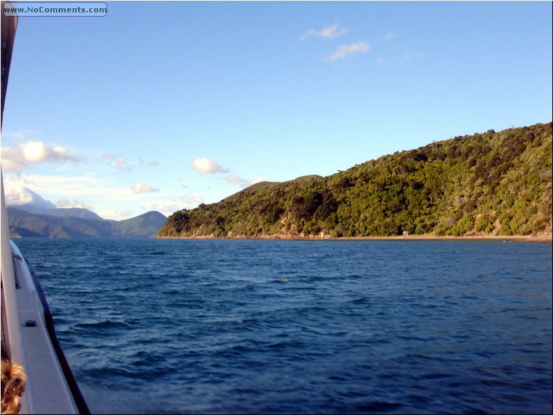 Picton 4.JPG
