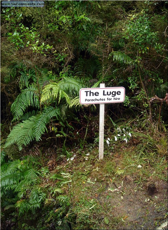 The Luge.JPG
