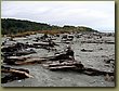 Beach South Island 1.JPG