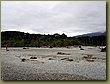 Beach South Island 3.JPG