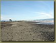 New Zealand beach 1.JPG