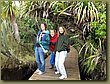 Rain Forest South Island.jpg