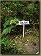 The Luge.JPG