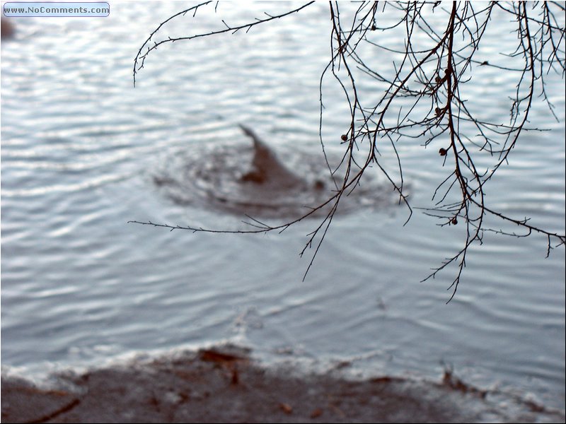 Boiling mud 5.jpg