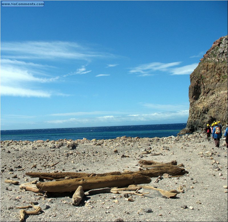 inside the crater - old wood.jpg