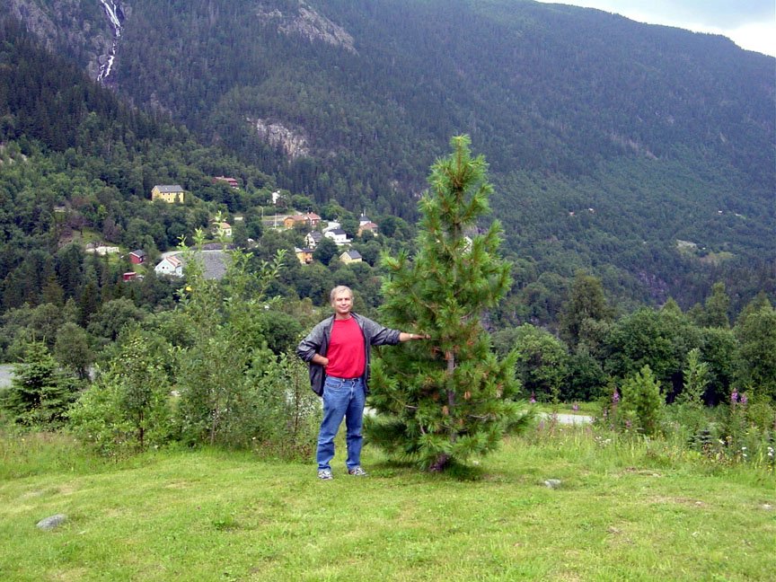 in-Telemark.JPG