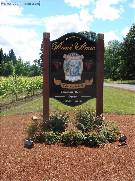 Anne Amie Vineyards.JPG