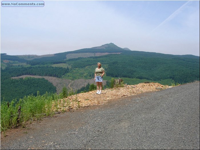 Oregon Forest - clear cut 3.JPG