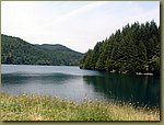 Oregon Forest - Lake.JPG
